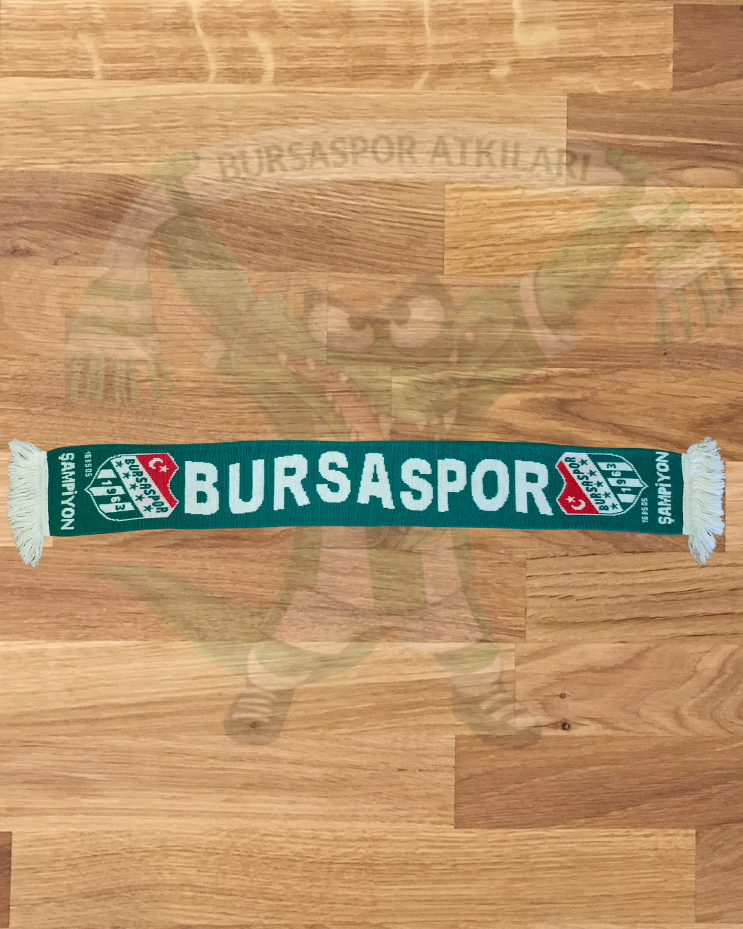 Bursaspor 