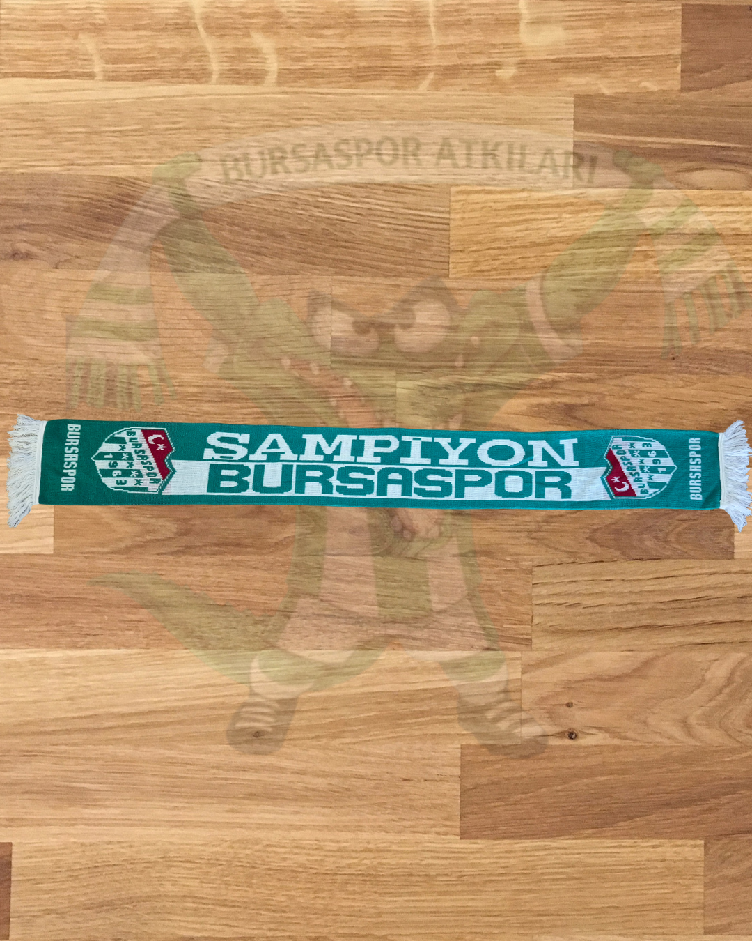 Bursaspor 