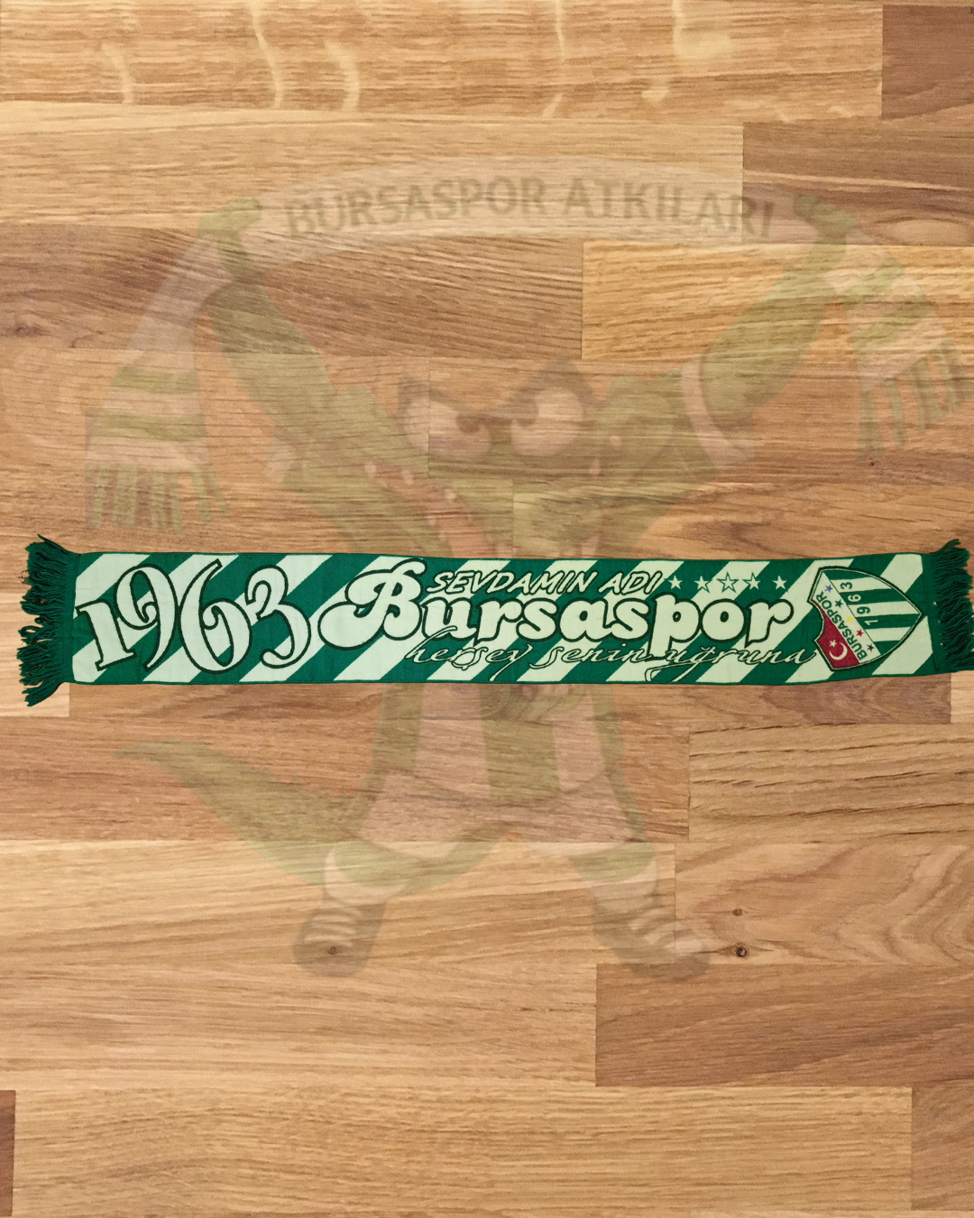Bursaspor 