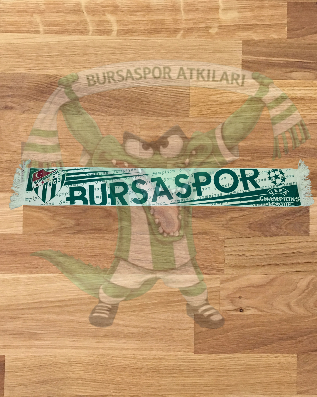 Bursaspor Atkısı
