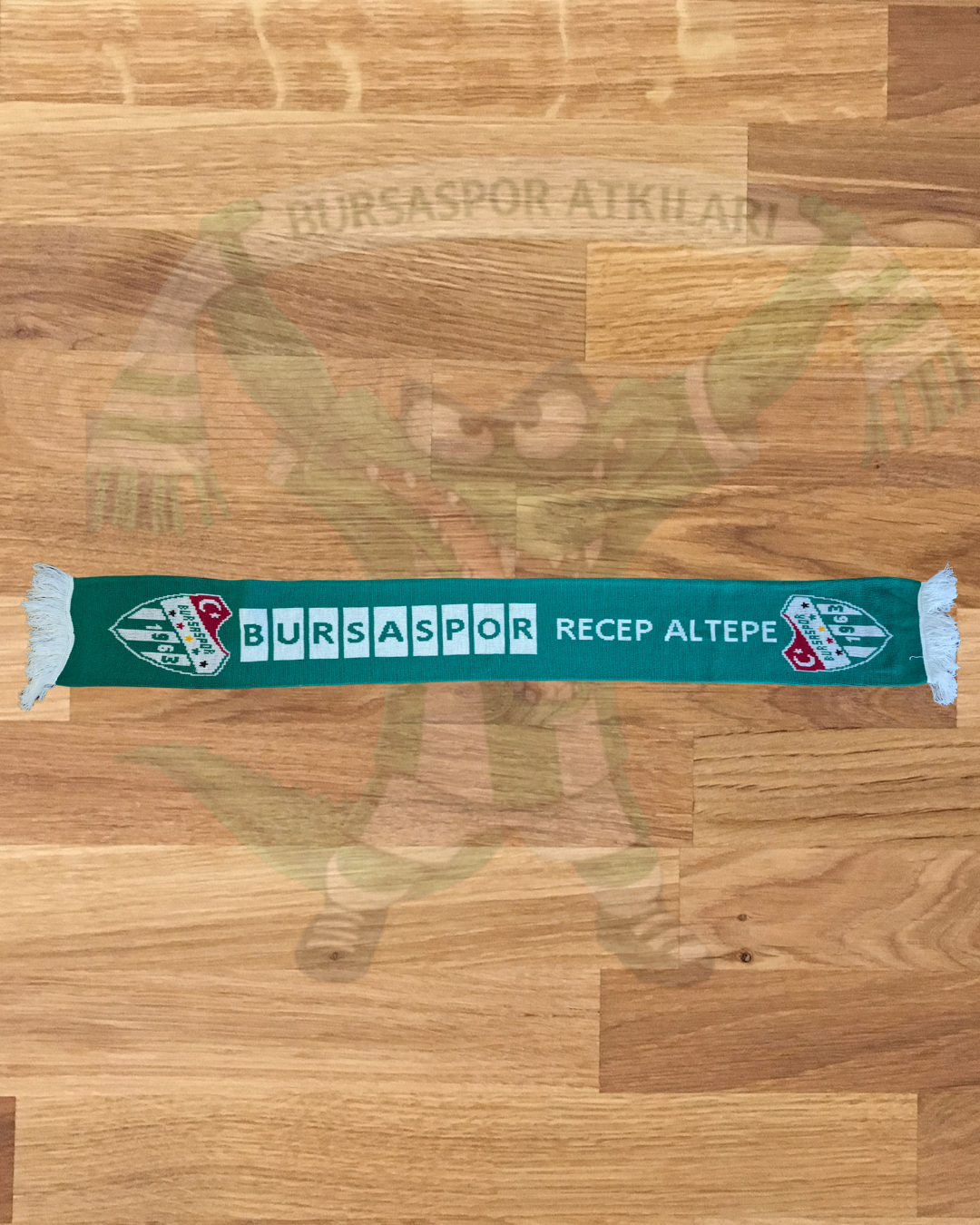 Bursaspor Recep Altepe