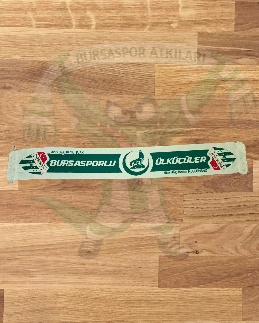 Bursasporlu Ülkücüler 