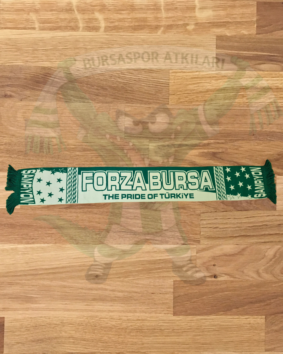 Forza Bursa 