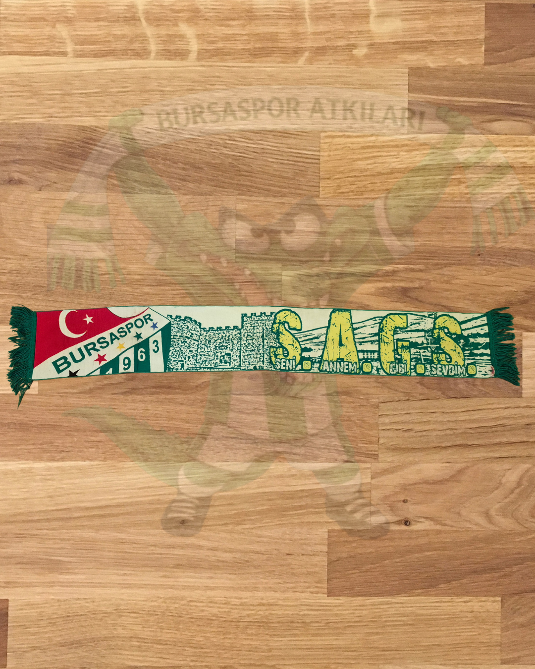 Seni Annem Gibi Sevdim (SAGS)